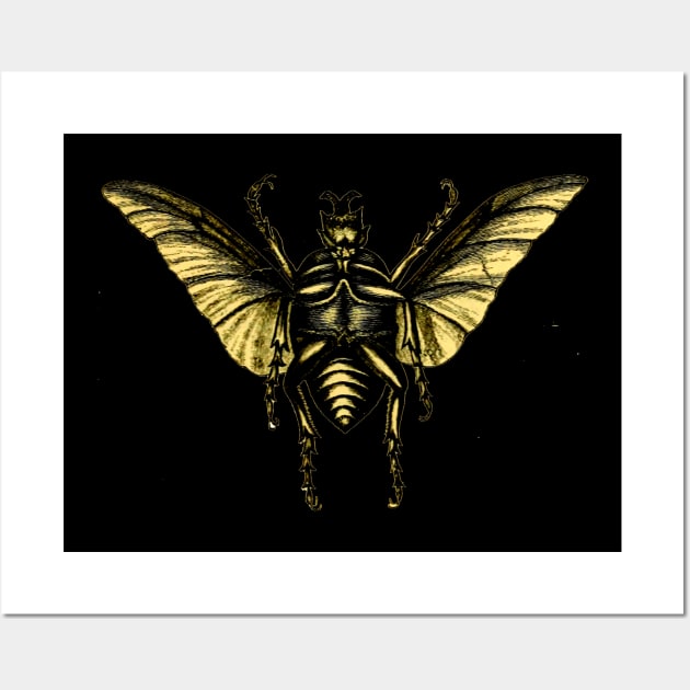 Vintage Golden Winged Bug Insect Flying Wall Art by oknoki